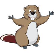 Beaver